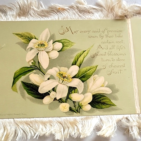 1883 L. Prang & Co. Chromolithograph Antique Silk Fringe Birthday Card - Picture 5 of 7